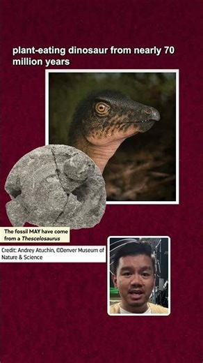 This dinosaur was literally under their parking lot