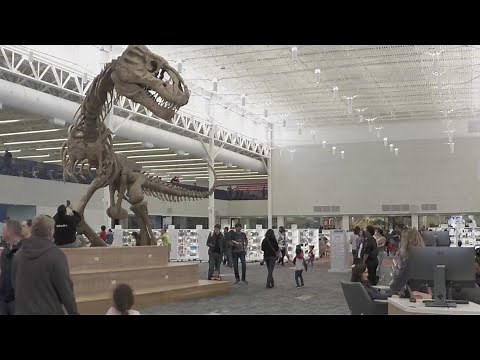New public library in Frisco holds grand opening