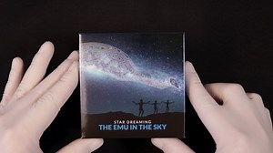 4.5K views · 76 reactions | -- Star Dreaming - Emu in the Sky --...
