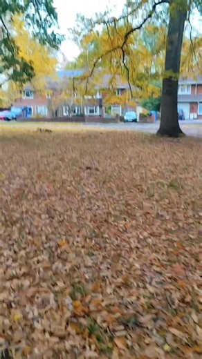 70 reactions · 27 comments | Walking is the best exercise for Seniors #walking #exercise #outdoors | Rebecca Ungab | Facebook