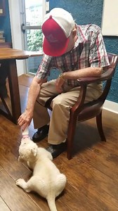 "You just thought you would put a lion outside and let it run around?" Pop gets to feed a baby lion. | JASON ROY
