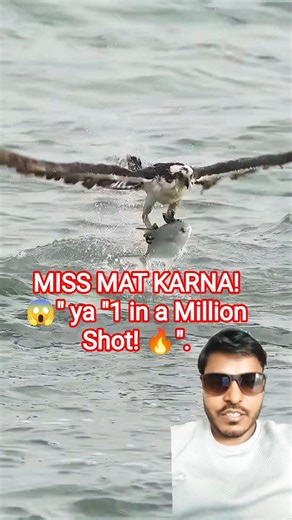 Eagle vs Fish: Who wins? 🔥 #wildlife #amazing