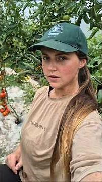 Why I use Sheep wool 🐑