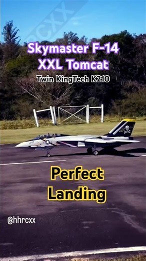 Perfect Landing - Skymaster F-14 XXL Tomcat #skymaster #rcwarbird #rcturbine #f14 #f14tomcat #rcjet
