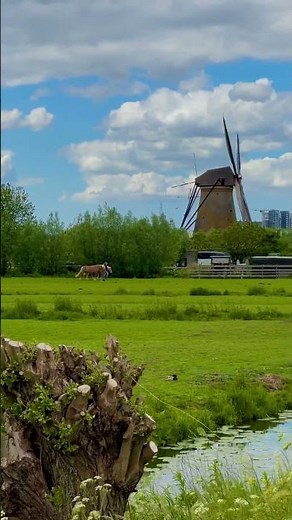 Kinderdijk: Dutch village with historic windmills, a UNESCO site.#amsterdam #travel #kinderdijk