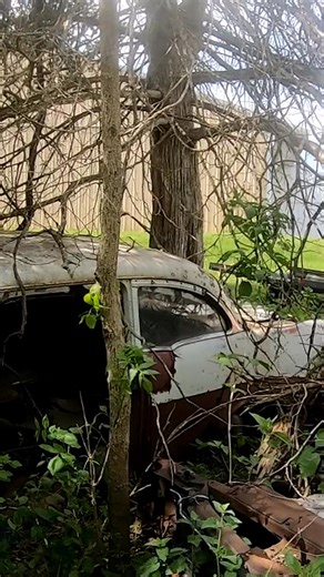 This Saturday, Elmer's Auto Graveyard in Fountain City, Wisconsin is doing two yard walks. One at 9am and then another at 1 pm. This is a great opportunity to see a bunch of cool cars, normally unavalable to check out, and photograph and video or whatever. They do sell cars and parts, so it is a win win all the way around. Like this 1972 Chevrolet Heavy Chevy, this recently sold to a friend of mine ironically enough! This was the first of three Heavy Chevys in the yard that I was able to documen