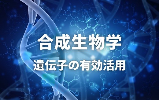 遺伝子を有効活用する【合成生物学】。病気の治療や新エネルギーの開発に役立つ研究！｜スタディラボ