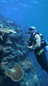 Learn to Dive in Mexico | PADI