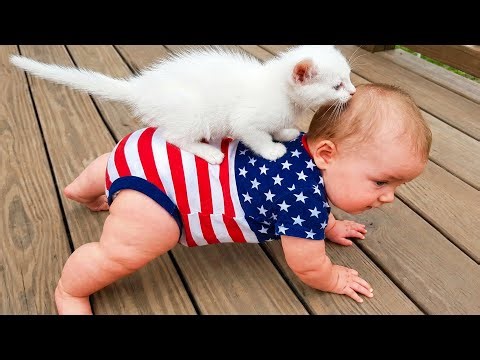 Try Not To Laugh: Baby & Pets Funny Fails 🤣 Cute Animal Moments | Baby Bliss
