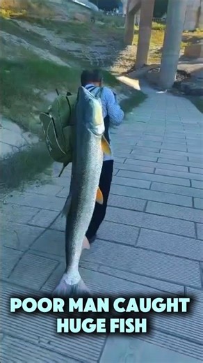 SMALL FISH ➝ GIANT FISH 😳 TRANSFORMATIONS !! #shorts#animaltransformation #viralshorts