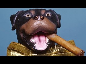 Triumph, the Insult Comic Dog vs. IGN - Comic Con 2014