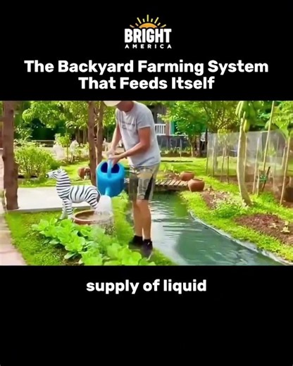 The Backyard Farming System That Feeds Itself