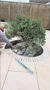 Installing Limestone pavers #howto #patioinstallation #diy #limestone