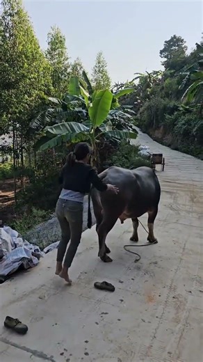 如果你不小心刷到我，请留下来翻翻我的作品吧，也许能治愈你烦躁的心情!#记录真实生活 #山里姑娘 #农村生活