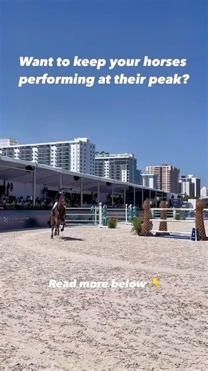 “Discover the incredible benefits of PEMF therapy for both animals...