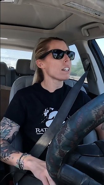 Getting a Rattlesnake Out of a Pipe