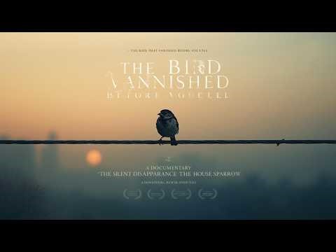 “The Silent Disappearance of the House Sparrow | The Vanishing Chirps of Our Cities”