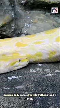 Free Python Course for Beginners Starting 22 Dec