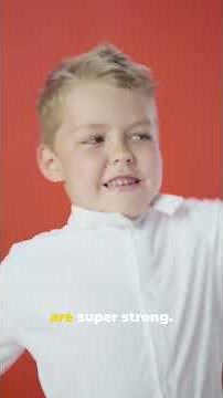 5 Facts About Llamas