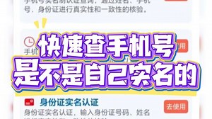 别再用错了！手机号核验全攻略,手机号验证方法