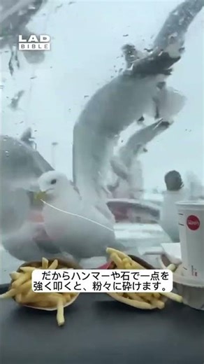 非常時に強化ガラスを割る方法！知らないと危険です！