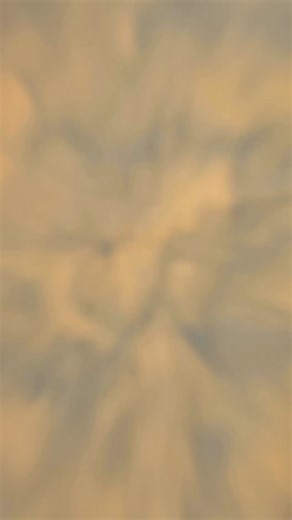 Shree Ganesha Deva❤️🙏🏻🪷 H&M: @sohini_ghosh_makeover . . . . . Ganesh Chaturthi | Ganapati Bappa | Marathi Look | Shivangi Ghosh