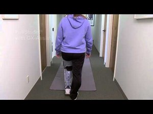 The Stride Family of Stance Control Components