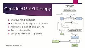 Advances in the Management of Hepatorenal Syndrome