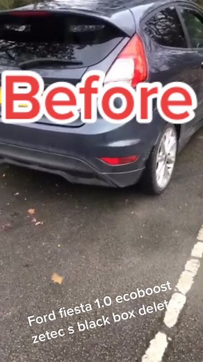 Fiestaecobeast on TikTok