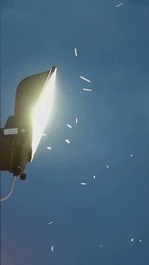 How Insects Communicate Using Light Signals