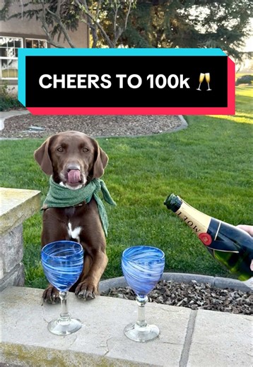 Celebrating 100k Community Moments with Ren