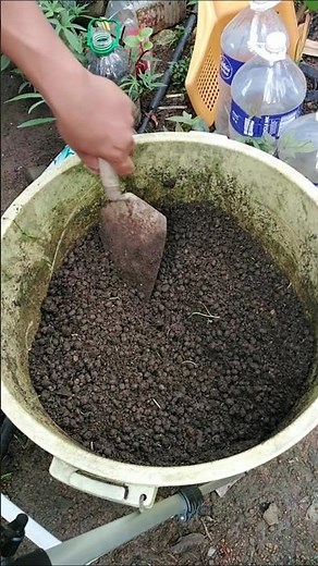 How To compost Goat Manure in One Month #goatmanure #compost