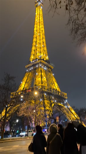 Effiel tower sparkling in Paris Viking River Cruise! We went on the Christmas Rhine & Moselle pre and post cruise extension. Christmas markets & exploring cities with a daily tour. We started in Switzerland and ended in Paris • • Follow @stylewithabow & @moniquestravels for daily travel content! I live less than 30 minutes from Walt Disney World! Making weekly trips to the parks, and go on Disney Cruises what feels like every month. I’m headed on the Disney adventure in April. Also headed to che