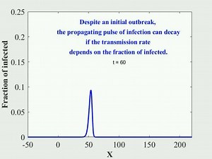 Spatial spread of epidemic with Allee effect. Author: Evgeniy Khain. Learn more in #PRE: https://go.aps.org/3WSkQDB. #Networks #Epidemics | American Physical Society | Facebook