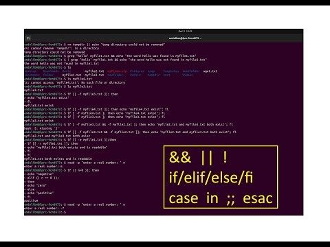 Boolean Operations and Conditionals in Linux (if/elif/else/fi and case/ in/esac)
