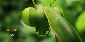 Minuscule 2 : les mandibules du bout du monde