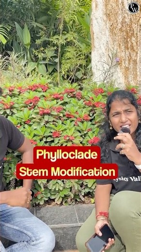 Euphorbia Phylloclade🌿 | Morphology of Flowering Plants | NCERT Biology | NEET 2027 | NEET Telugu