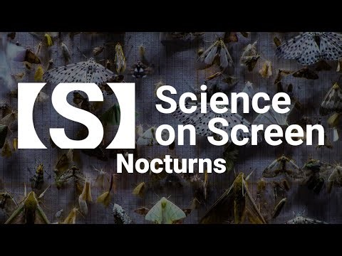 The Magical World of Moths: NOCTURNES