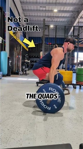 Trap Bar Deadlift vs Trap Bar Squat