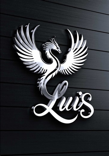 Custom Premium Logo Design Services