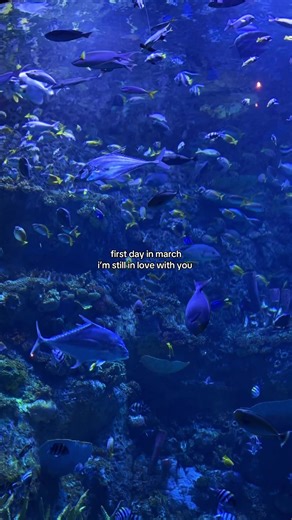 First Day of March: Still in Love and Hopeful