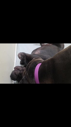 21K views · 1.3K reactions | I had a fever episode yesterday, so I...