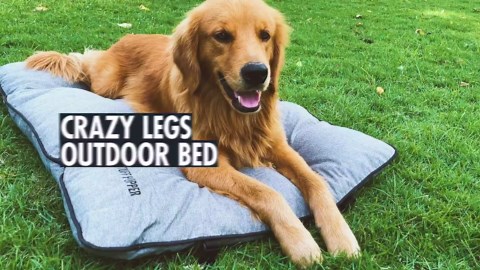 Tuff Pupper All Weather Outdoor Dog Bed | Scratch Resistant Pad | Folding Mattress for Camping Beach Travel Outside | Washable Waterproof Dog Bed | Easy Wash & Wipe Clean | Small & Large Breed