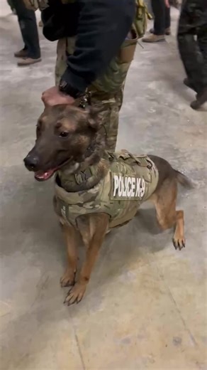 Train always! #training #checkmate