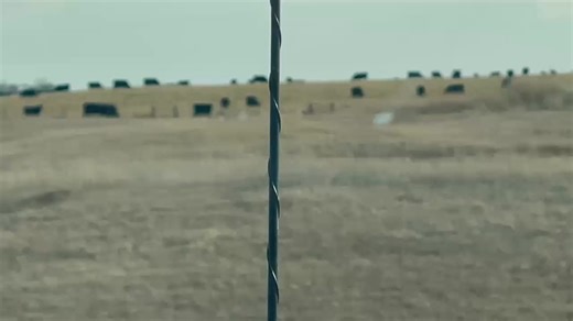 Holy Cow! ..... and Swans! You never know what you will see next in Valentine & Cherry County. 🎥 credit - Ran Graeff 🦢 Just East of Sparks. 🦢 | Visit Valentine & Cherry County