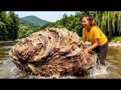 The giant mutated river clam at the bottom of the river brings super beautiful gems