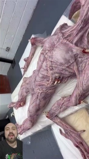 Demogorgon Stranger things prop#demogorgon #strangerthings #strangerthings1 #collectibles