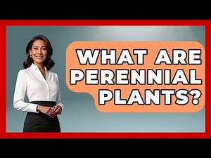 What Are Perennial Plants? - The Family Getaway Guide