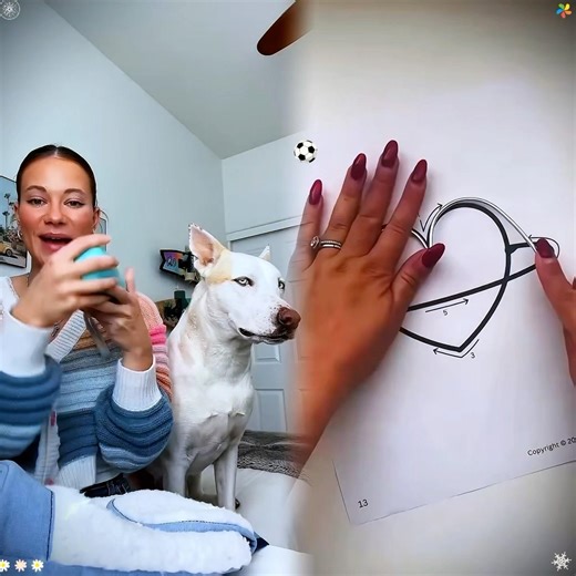 "Let’s pack my dogs backpack🎒 #dogshorts #dog #petowner #puppy #dogmom #dogowner #pets #funny