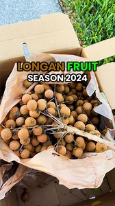 4.6K views · 95 reactions | Have you ever tried the Longan Fruit?...